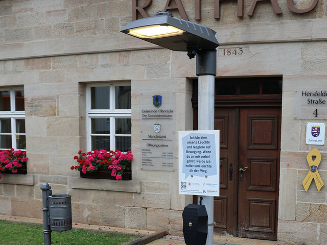 Smarte Leuchte, an deren Mast ein Schild hängt, das ihre smarte Funktion erklärt.