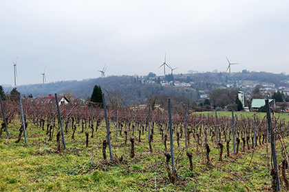 Visualisierung eines Windparks