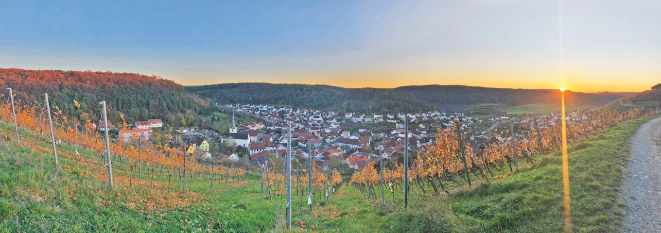 Blick auf Dorf von Weinberg aus
